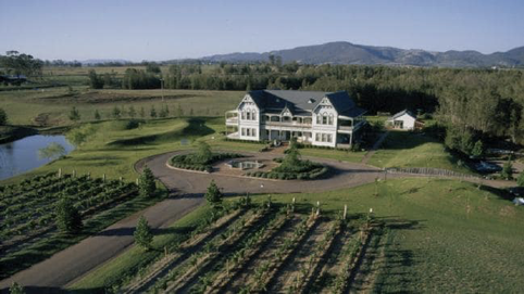 Pepper Tree winery