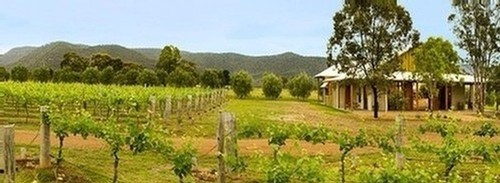 Whispering Brook vineyard